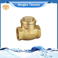 Best Manufacturers in China Mini Check Valve